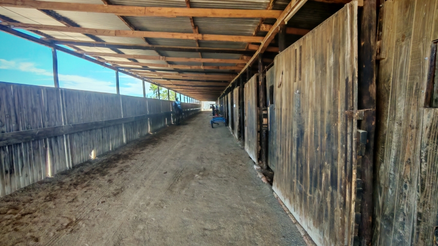 6 Bedroom Property for Sale in Pearston Eastern Cape